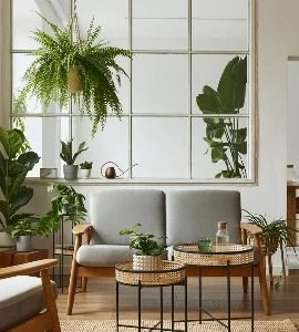 A finished interior with seating, planting and a glazed partition.